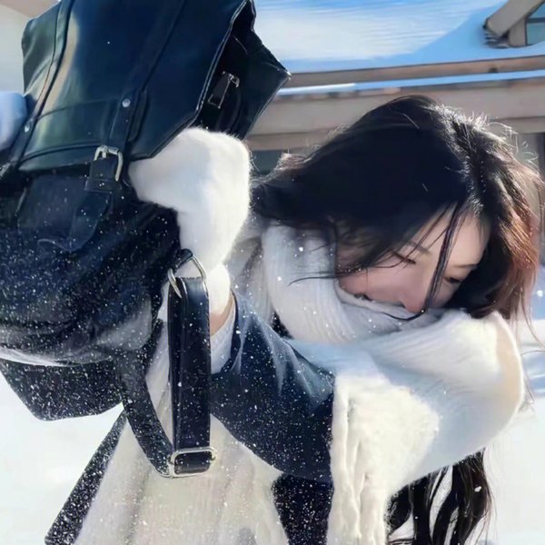 名媛双胞案
